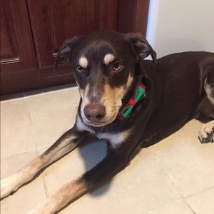 Meet your Posher, Kimberley